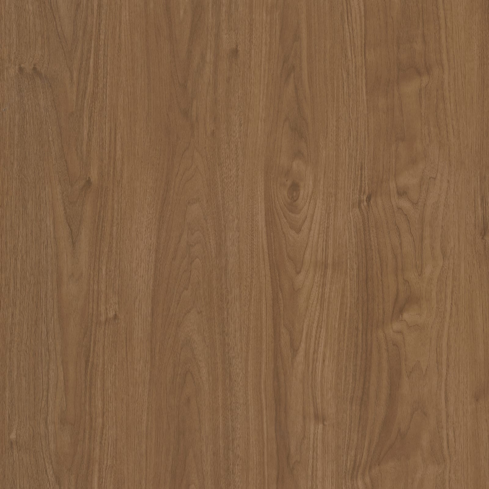 Red Oak — image 1