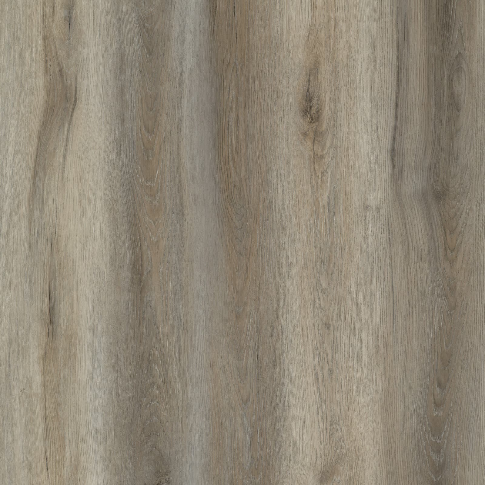Shadow Brown — image 1