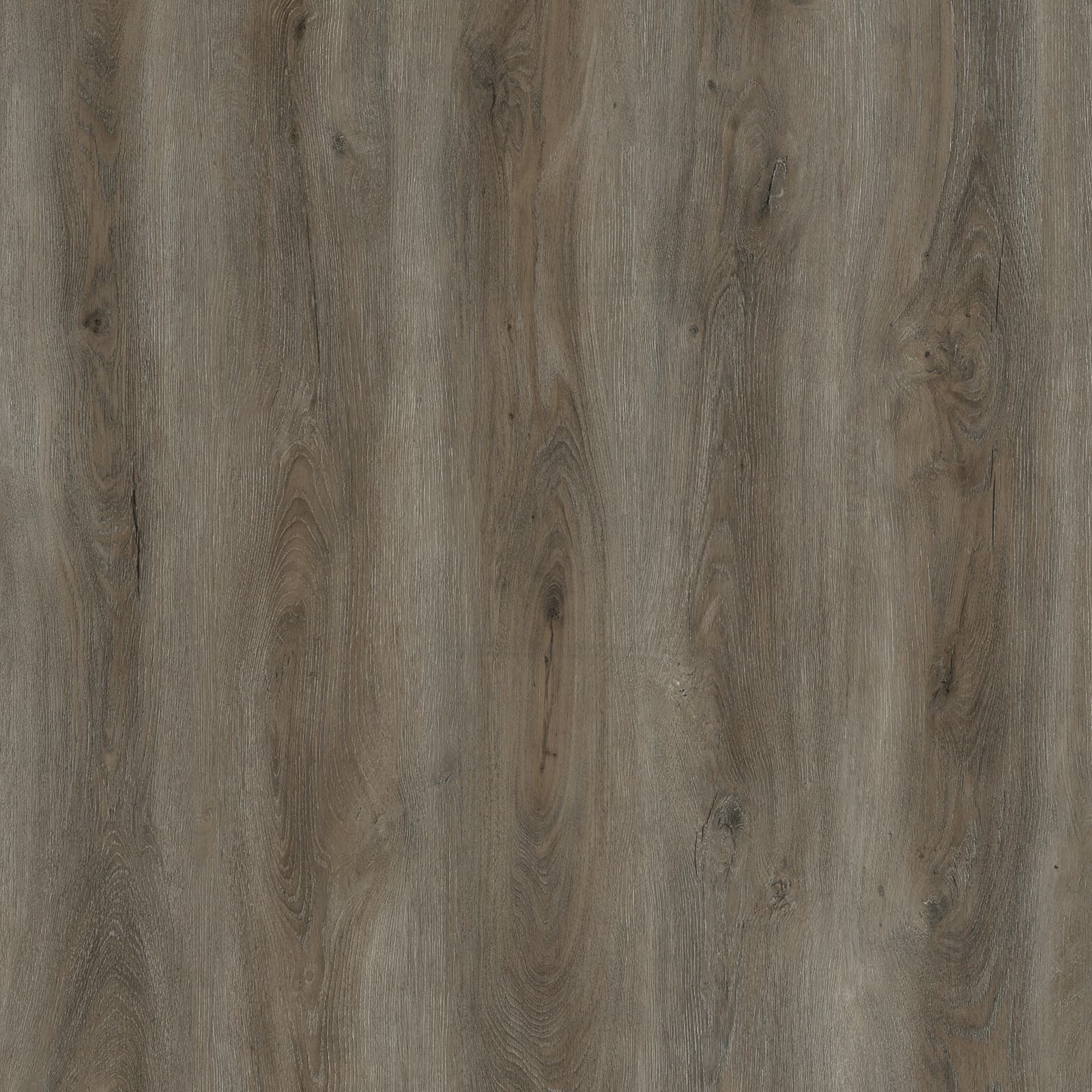 Norfolk Oak — image 1
