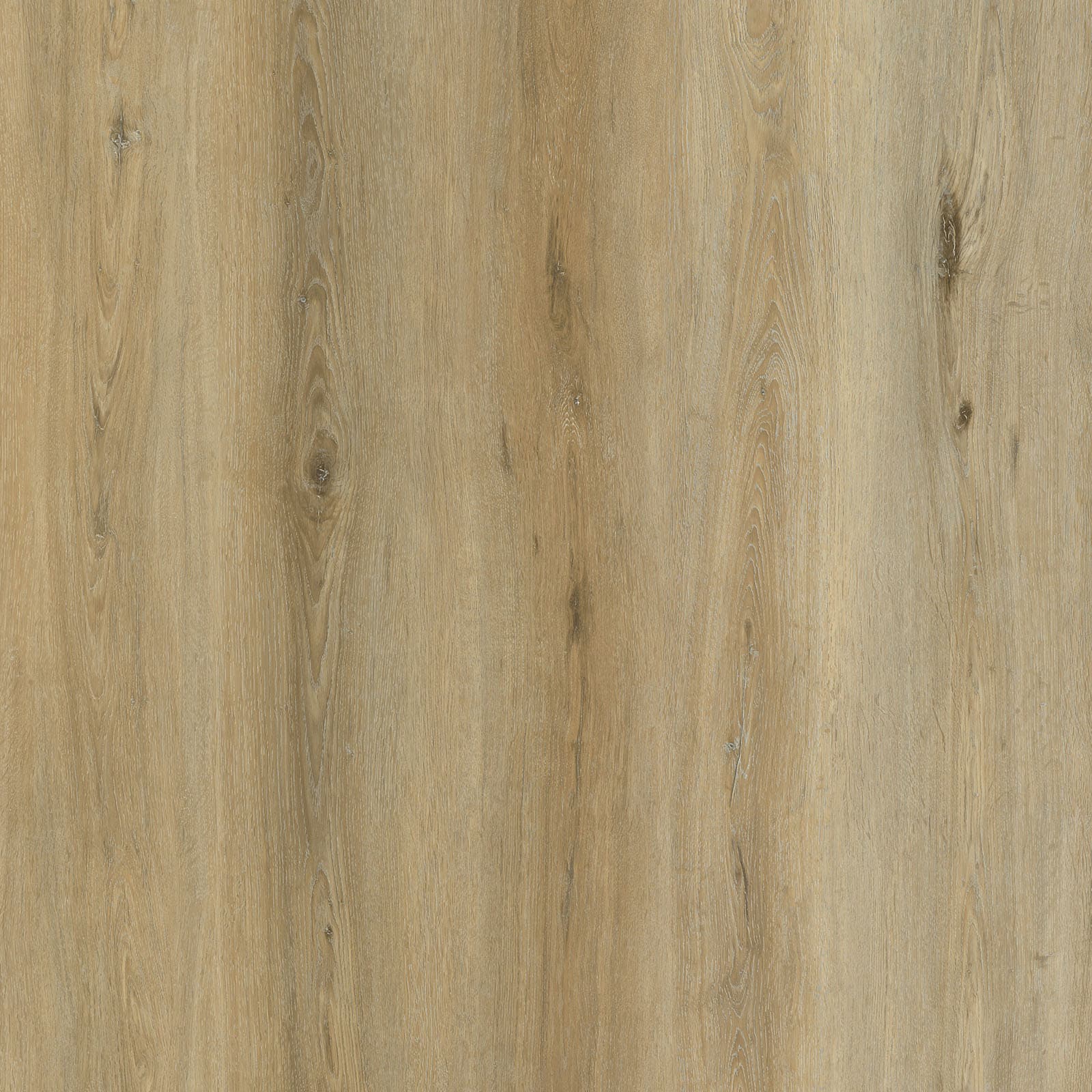 Sand Tan — image 1