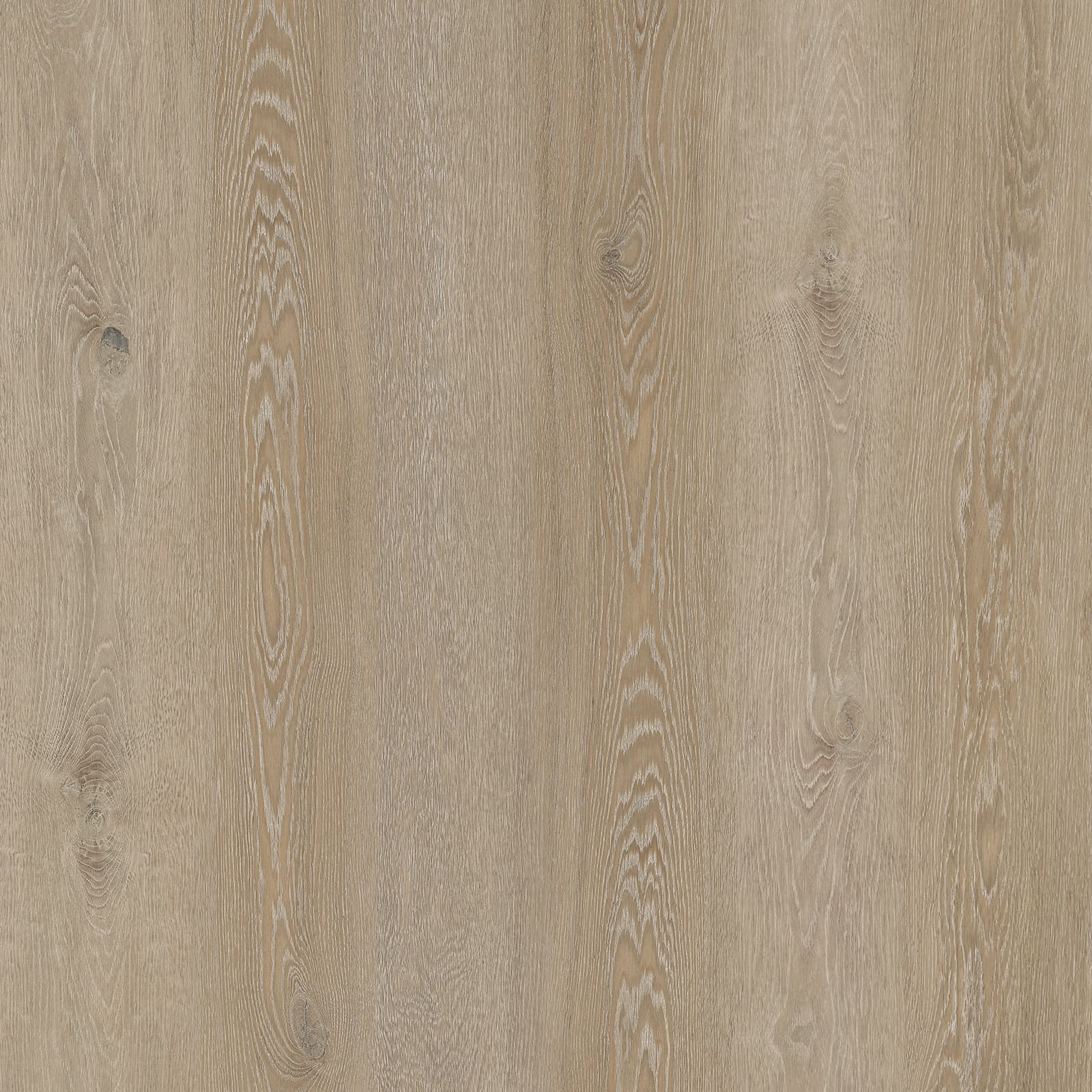 Weathered Ridge Oak — image 1