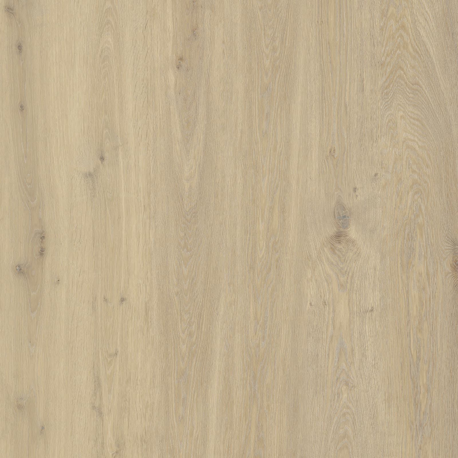 Golden Field Oak — image 1