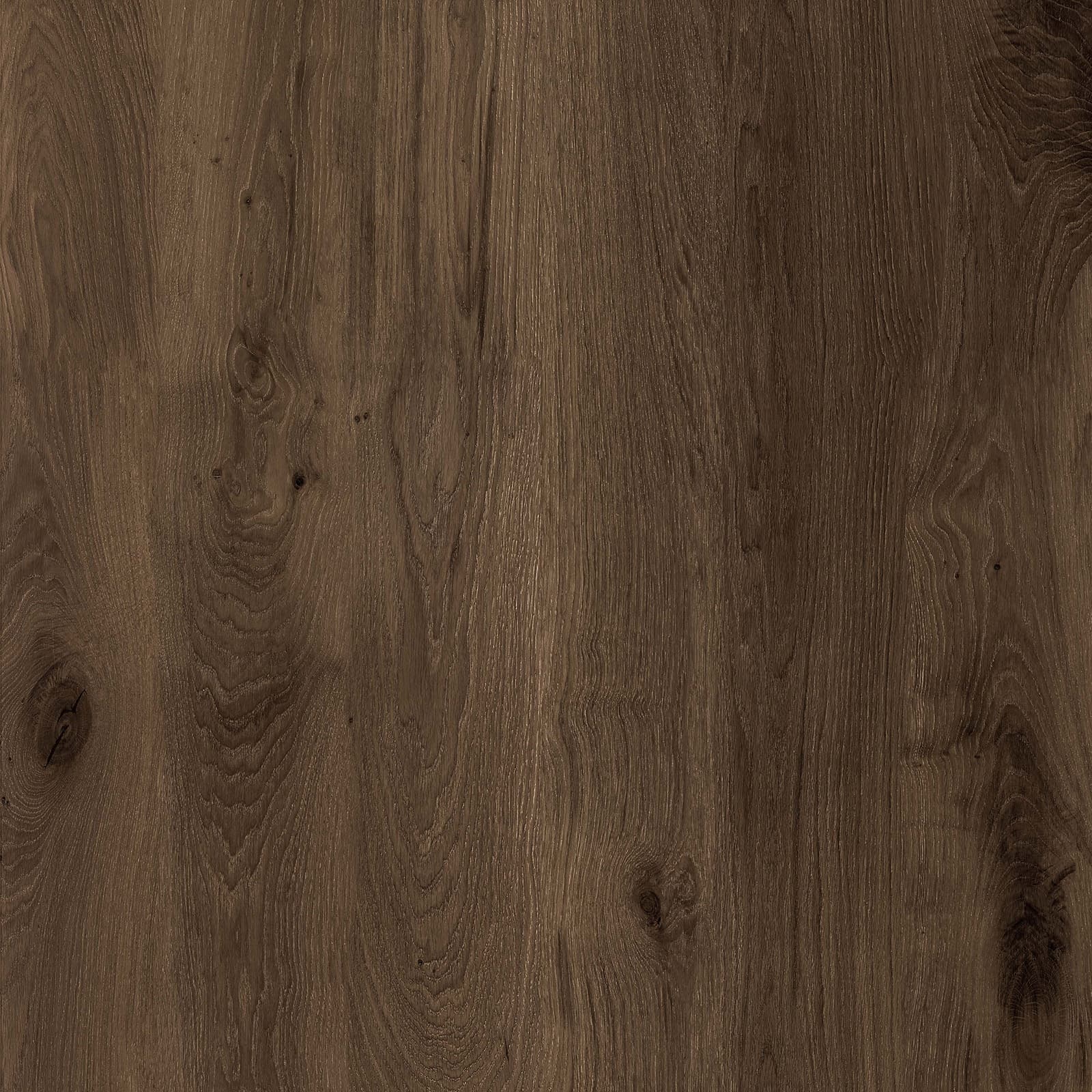 Hazel Wood — image 1
